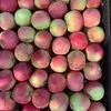 яблоки сезоные в Калуге 3