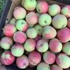 яблоки сезоные в Калуге 4